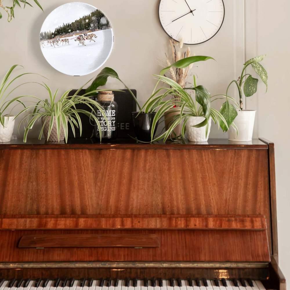 Собачья упряжка — Пит Барретт