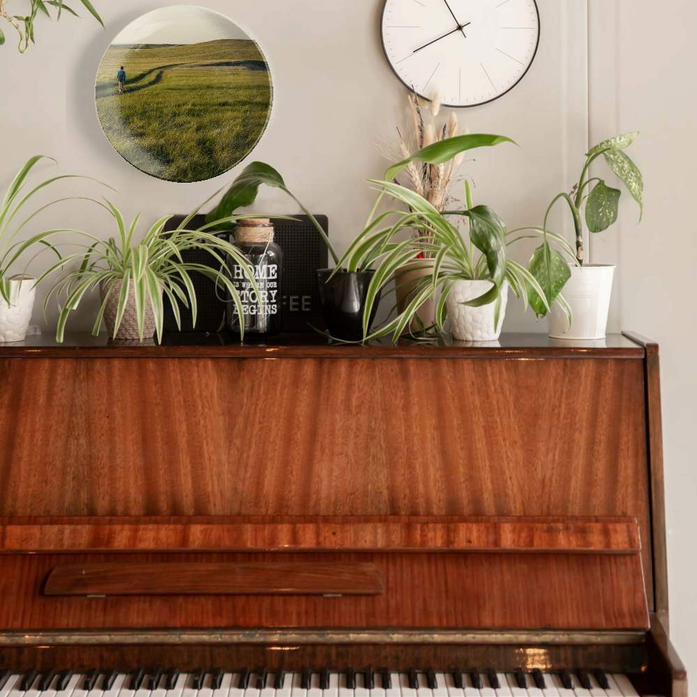 Прогулка по полю — Пит Барретт