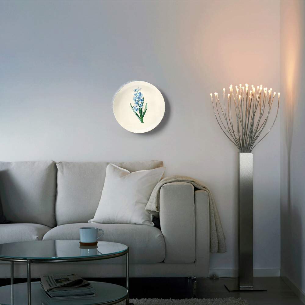 Гиацинт Восточный — Пьер Жозеф Редуте