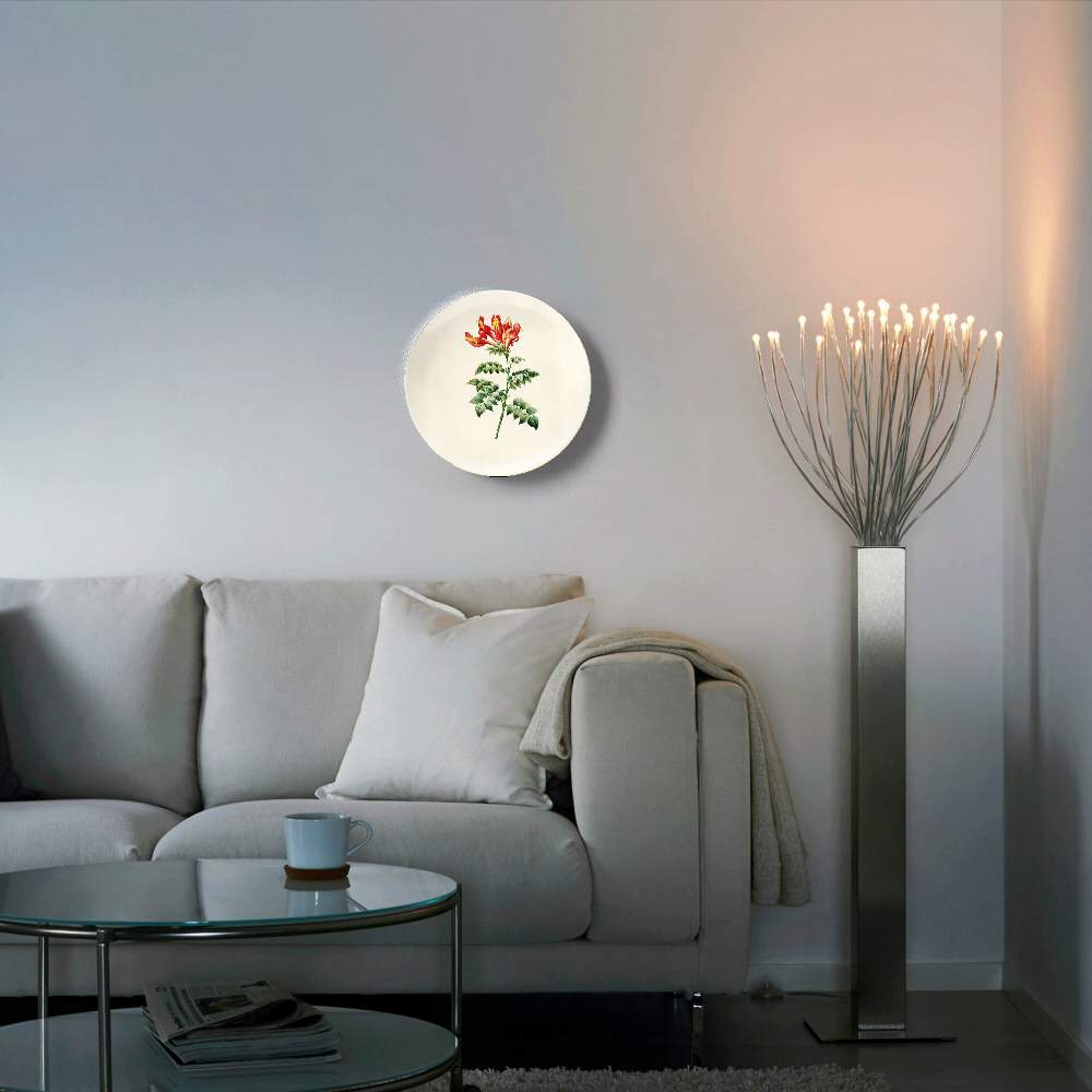 Бигнония капская — Пьер Жозеф Редуте