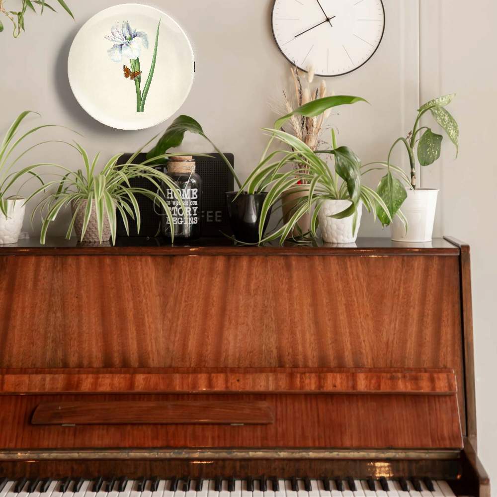 Испанский цветок ириса — Пьер Жозеф Редуте