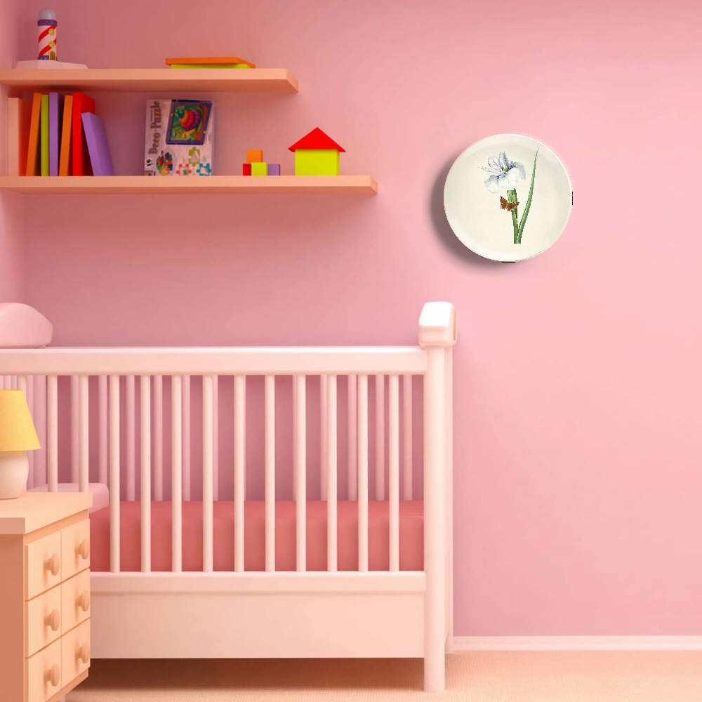 Испанский цветок ириса — Пьер Жозеф Редуте