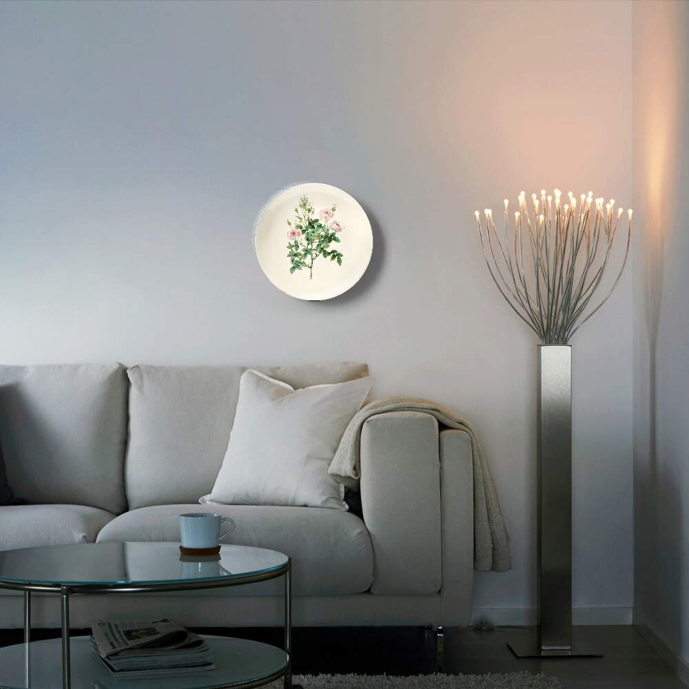 Роза кустовая — Пьер Жозеф Редуте