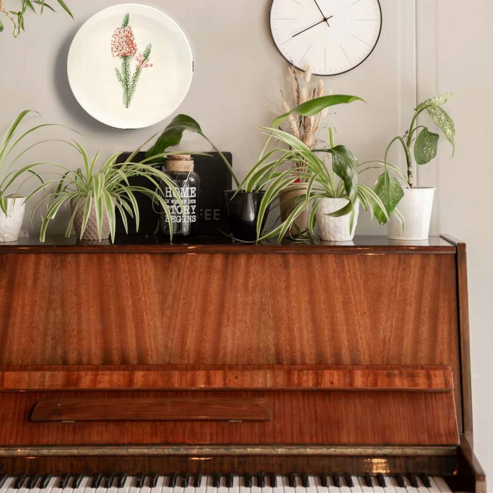 Сушеный ранункулюс — Пьер Жозеф Редуте