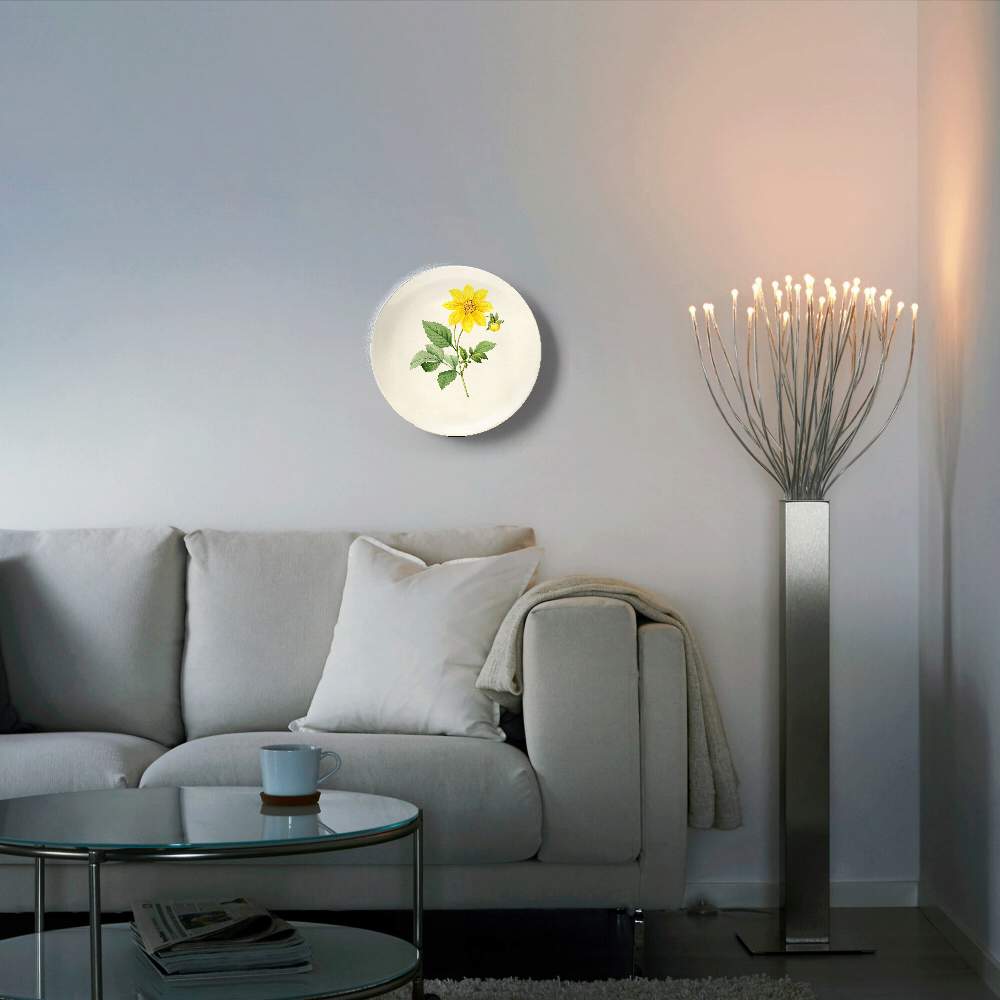 Роза центифолия буллата — Пьер Жозеф Редуте