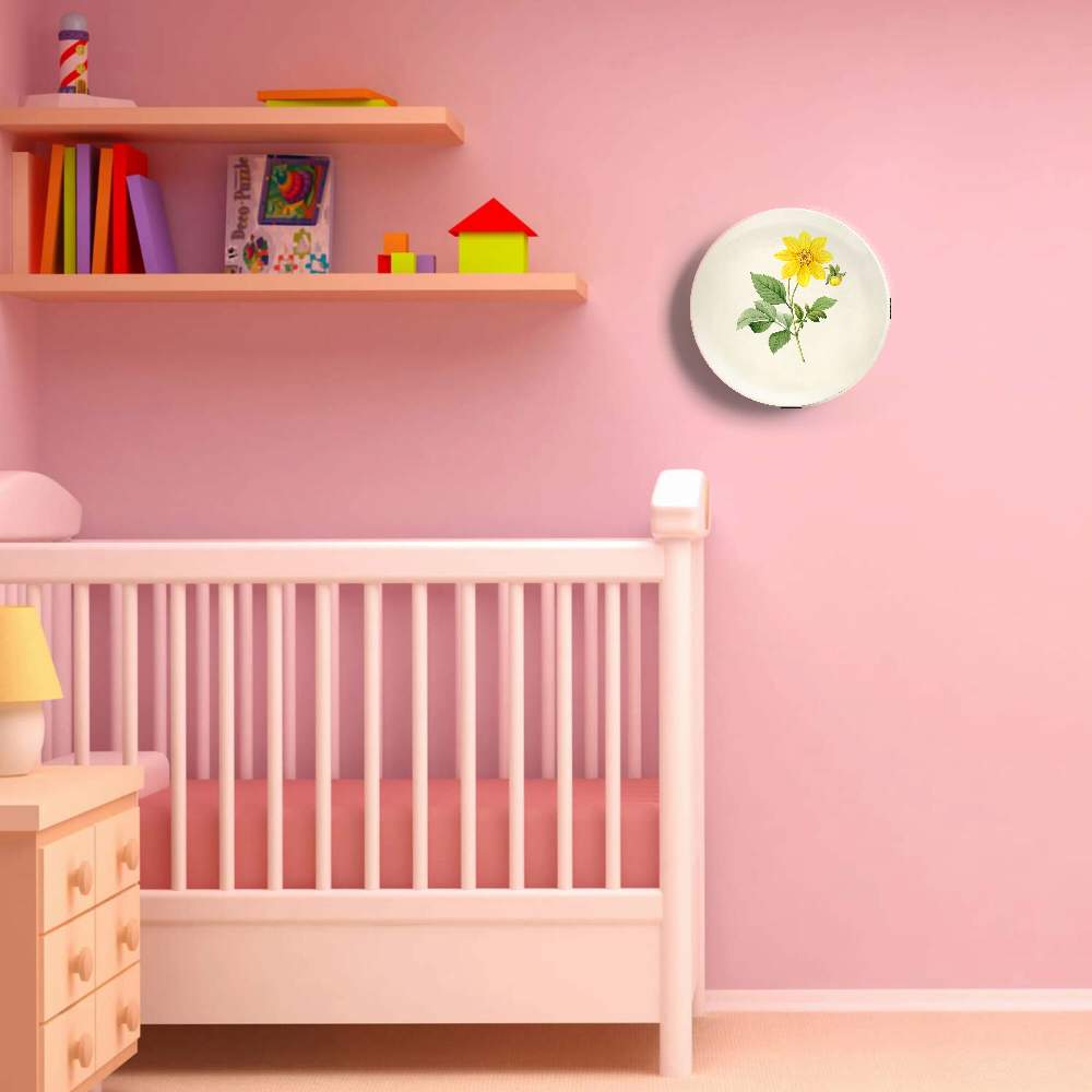 Роза центифолия буллата — Пьер Жозеф Редуте