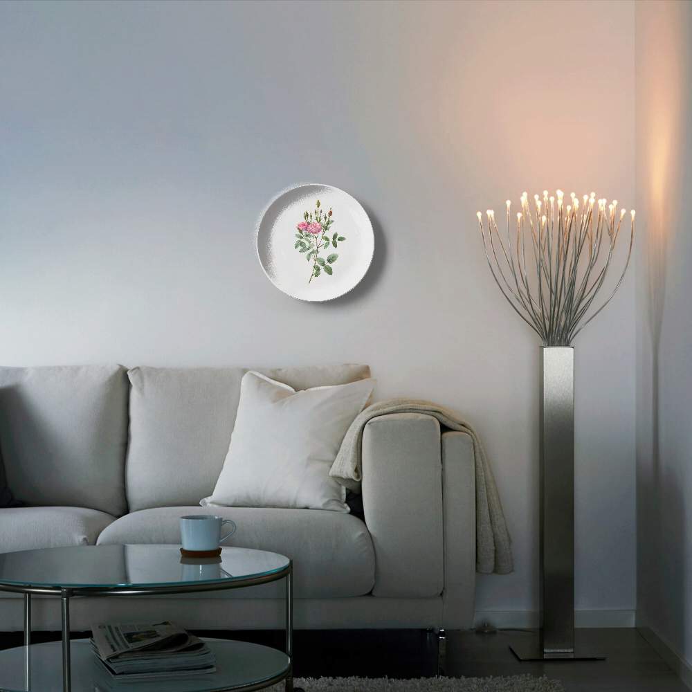 Мшистая помпонная роза — Пьер Жозеф Редуте