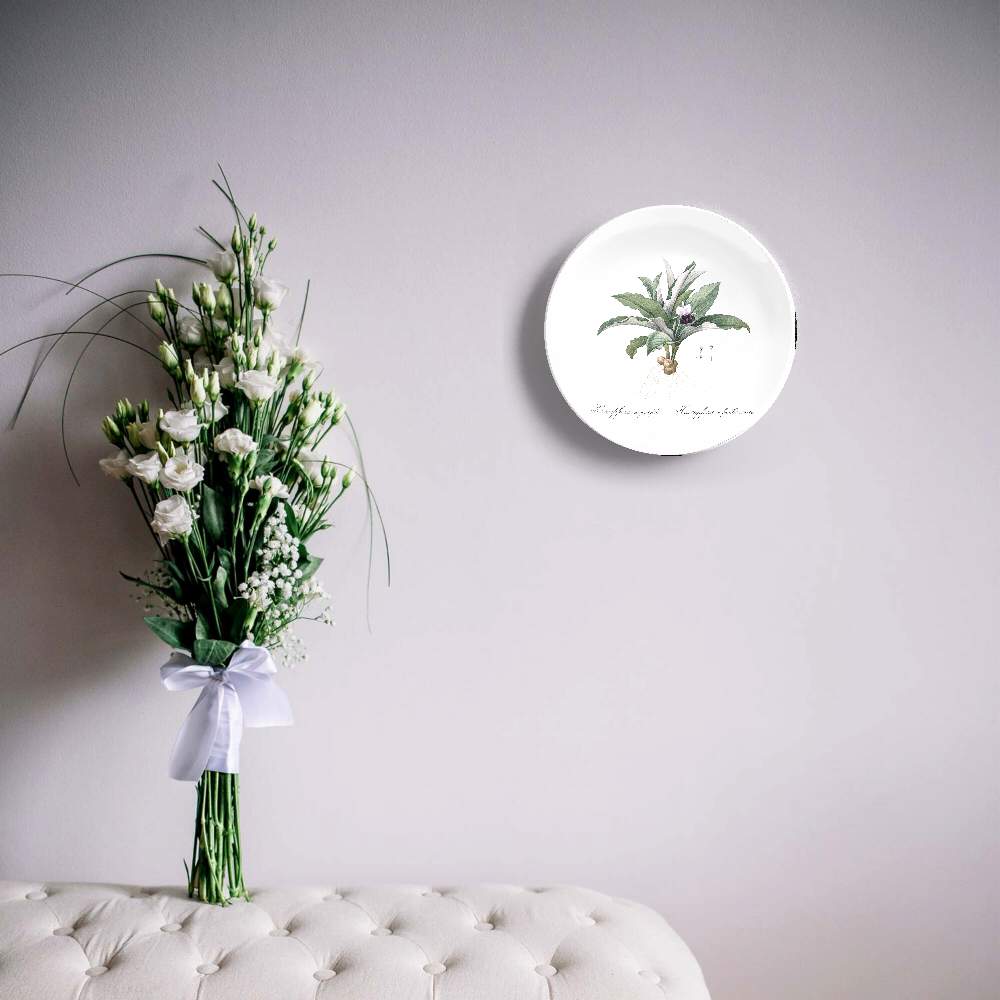 Каемпферия — Пьер Жозеф Редуте