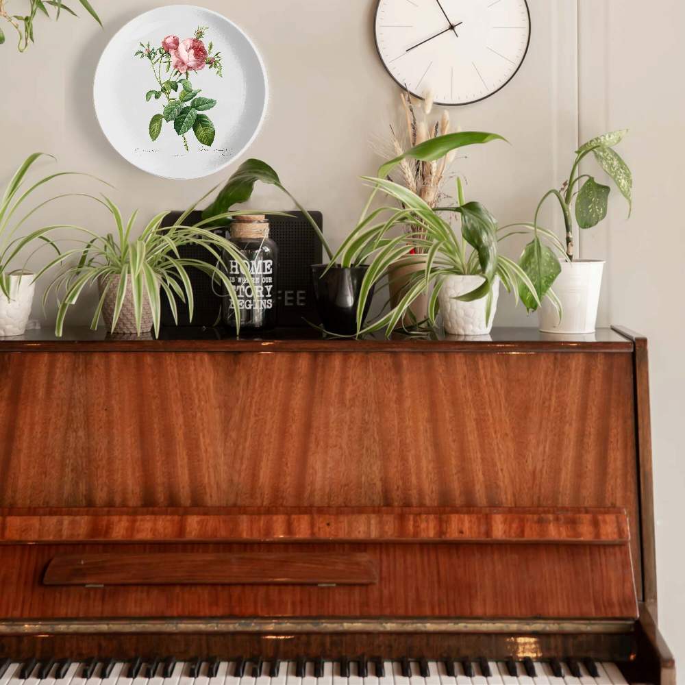 Роза почковидная фолиацея — Пьер Жозеф Редуте