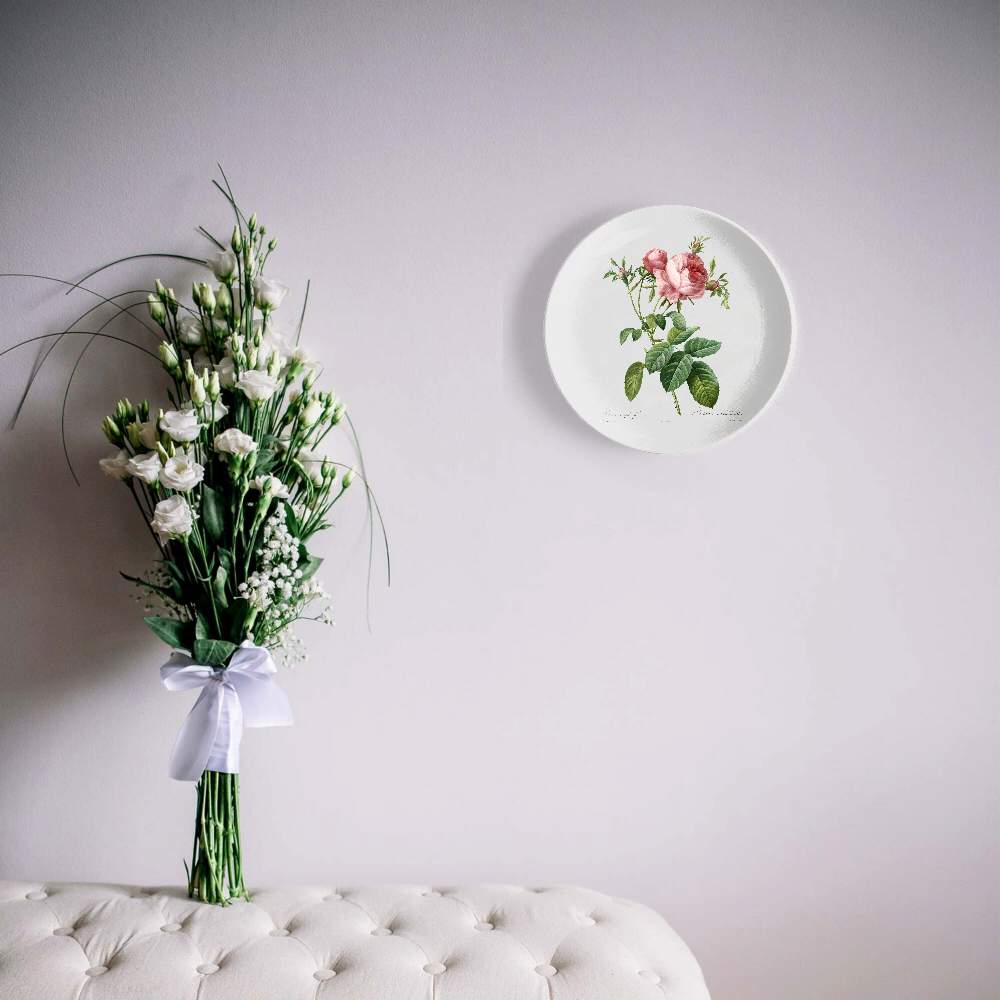 Роза почковидная фолиацея — Пьер Жозеф Редуте