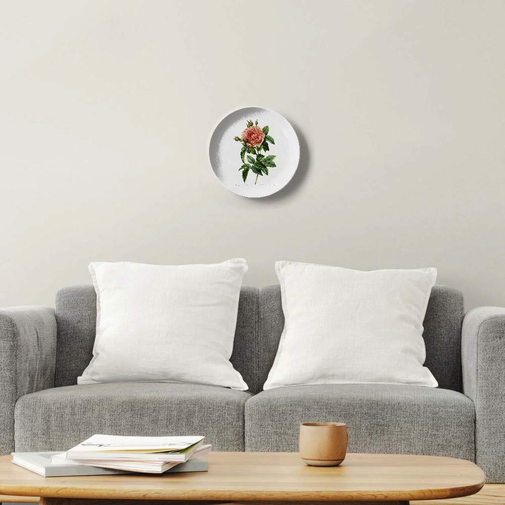 Роза галлица регалис — Пьер Жозеф Редуте