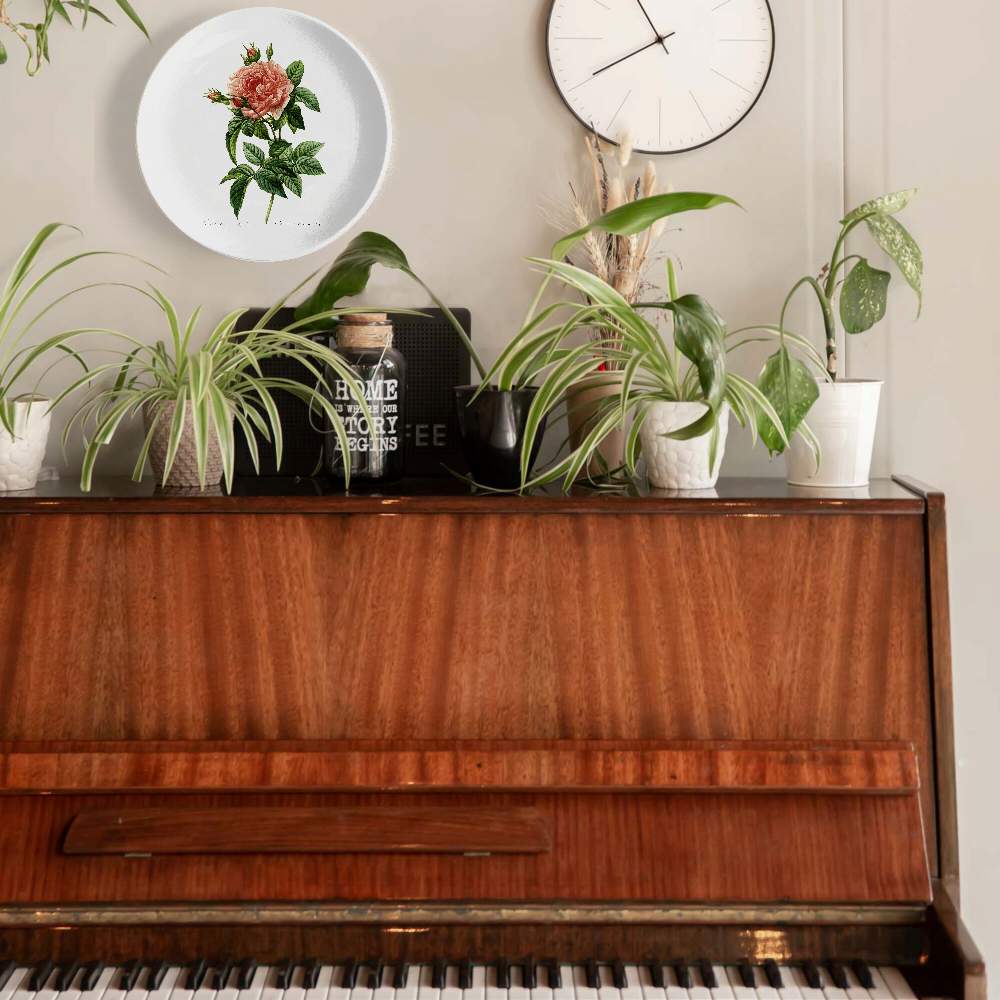 Роза галлица регалис — Пьер Жозеф Редуте