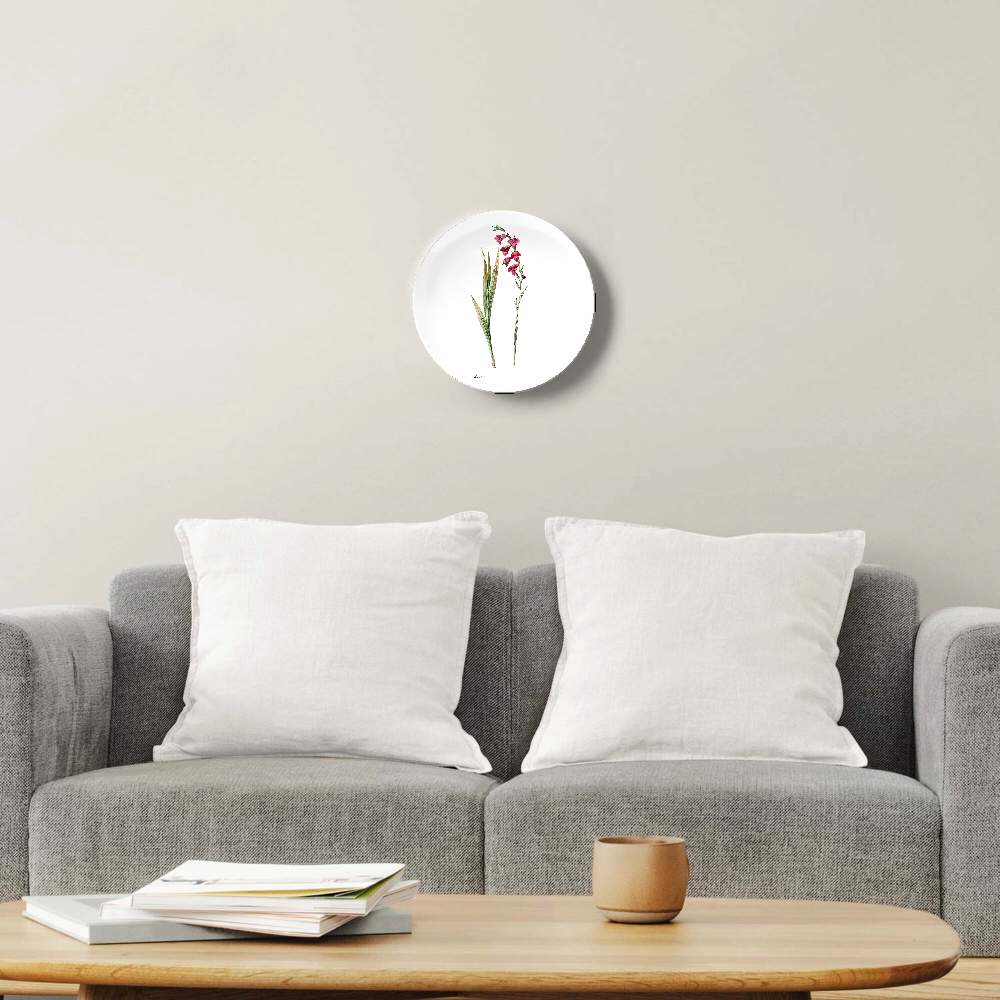 Гладиолус — Пьер Жозеф Редуте