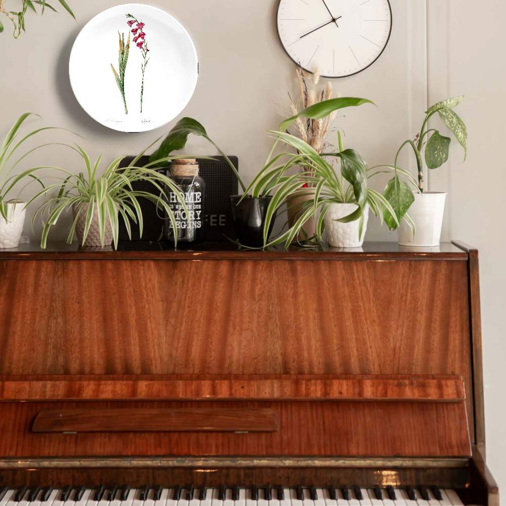 Гладиолус — Пьер Жозеф Редуте