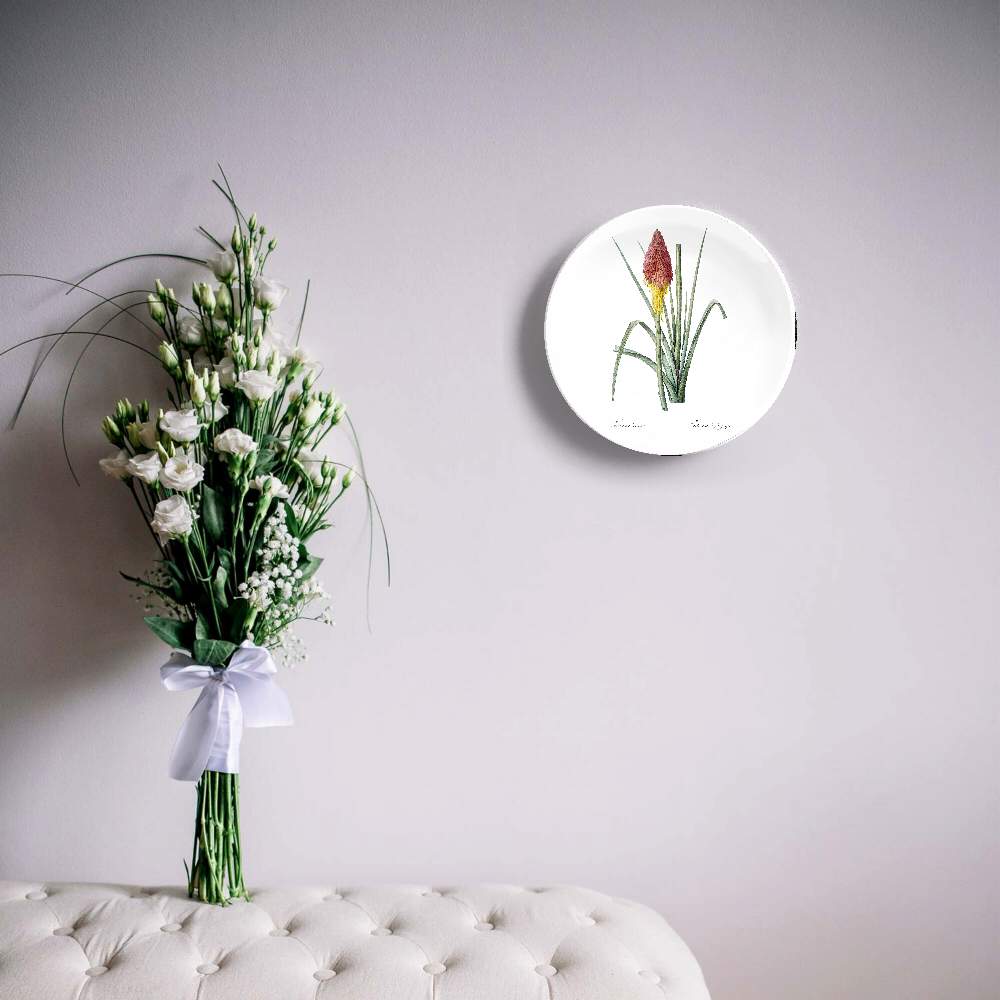 Книпхофия ягодная — Пьер Жозеф Редуте