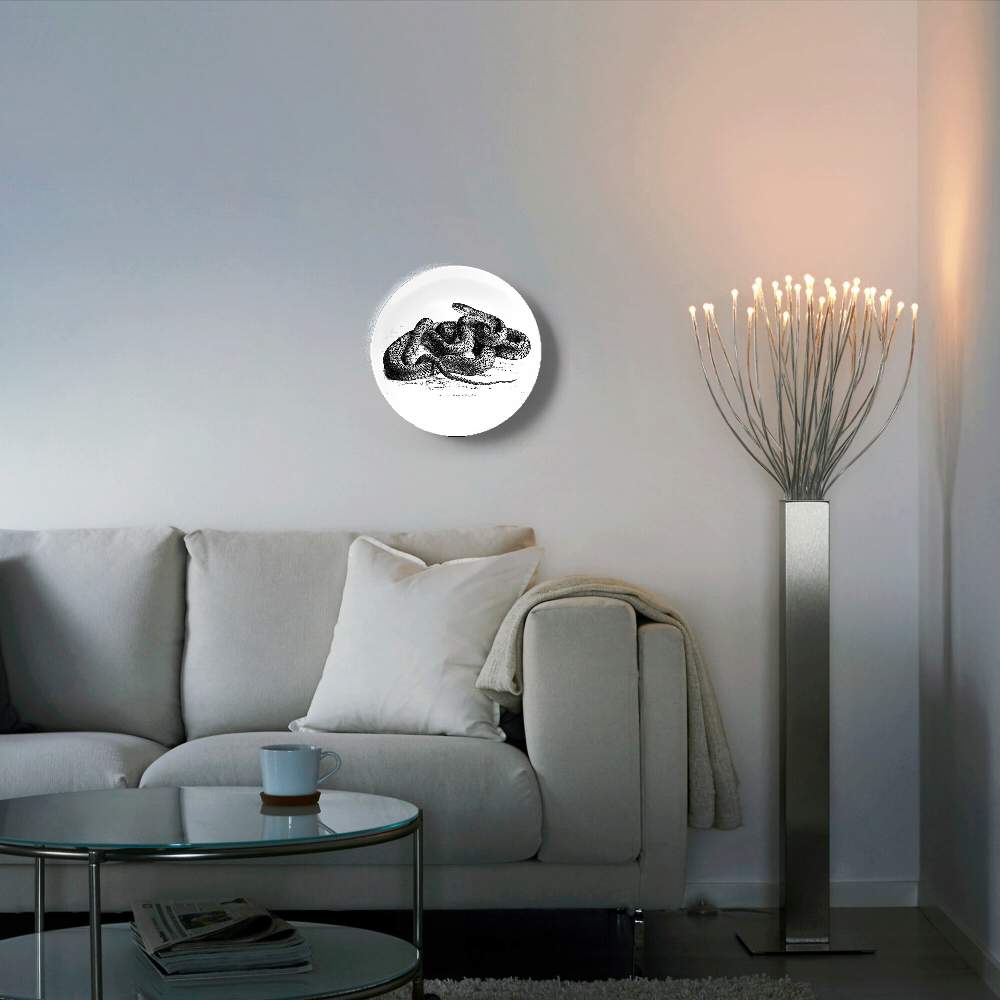 Желтобрюхая шипящая змея — Карл Густав Ямаргт