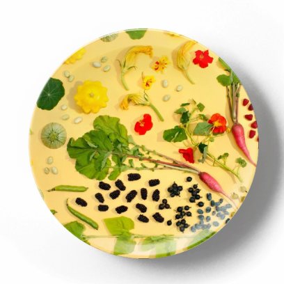 Декоративная тарелка Изабелла Кассини Калейдоскоп с патиссонами