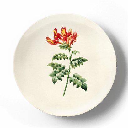 Декоративная тарелка Пьер Жозеф Редуте Бигнония капская
