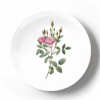Декоративная тарелка Пьер Жозеф Редуте Мшистая помпонная роза