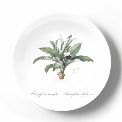 Декоративная тарелка Пьер Жозеф Редуте Каемпферия
