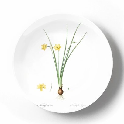 Декоративная тарелка Пьер Жозеф Редуте Роялти Фри Нарцисс