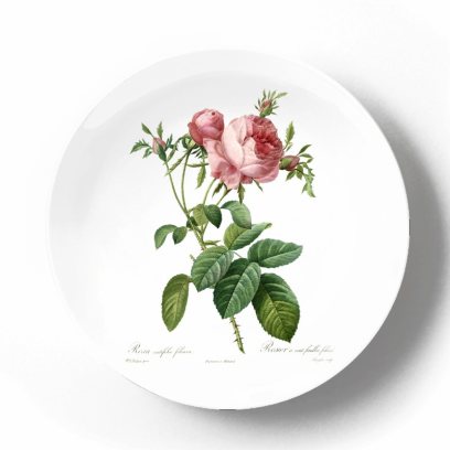 Декоративная тарелка Пьер Жозеф Редуте Роза почковидная фолиацея