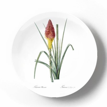 Декоративная тарелка Пьер Жозеф Редуте Книпхофия ягодная