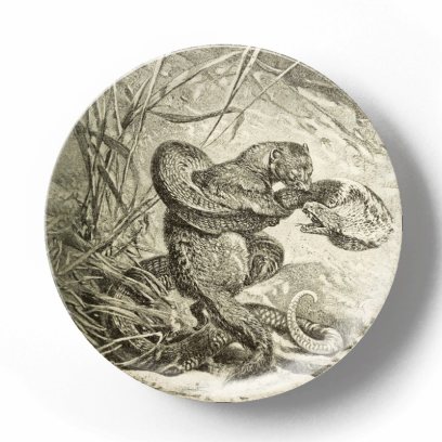 Рикки-Тики-Тави в битве