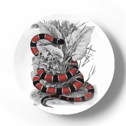Декоративная тарелка Карл Густав Ямаргт Коралловый аспид