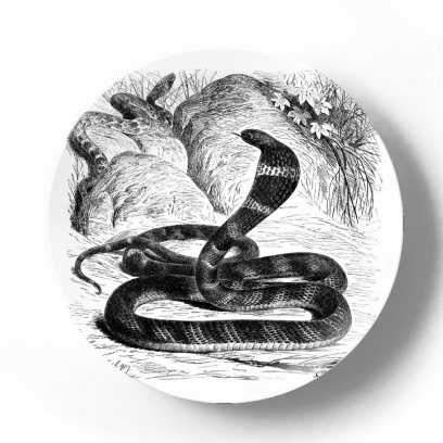 Декоративная тарелка Карл Густав Ямаргт Кобра