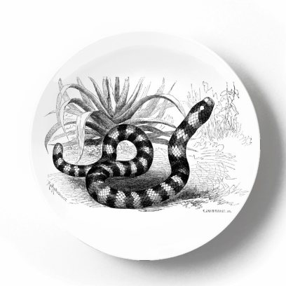 Декоративная тарелка Карл Густав Ямаргт Коралловая сверташка